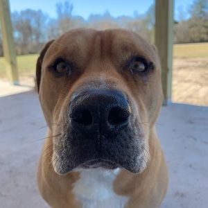 Meet your Posher, Cody